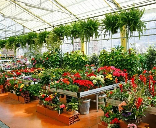 horticultural service