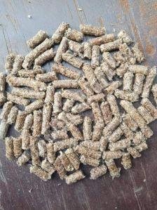 cotton seeds palate