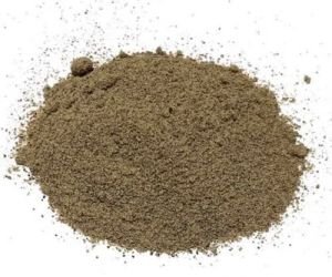 Black Pepper Powder, Form : Powder