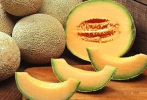 Fesh Muskmelon,