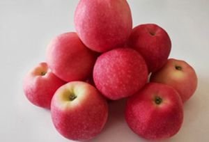 Fresh Apple, Variety : Kashmiri Apple