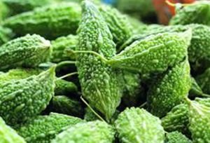 Fresh Bitter Gourd, Quality Available: A Grade