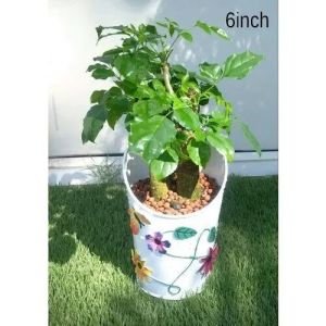 Flower Pot, Brand : Tara Handicraft, Mount type : Hanging