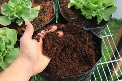 neem coir peat