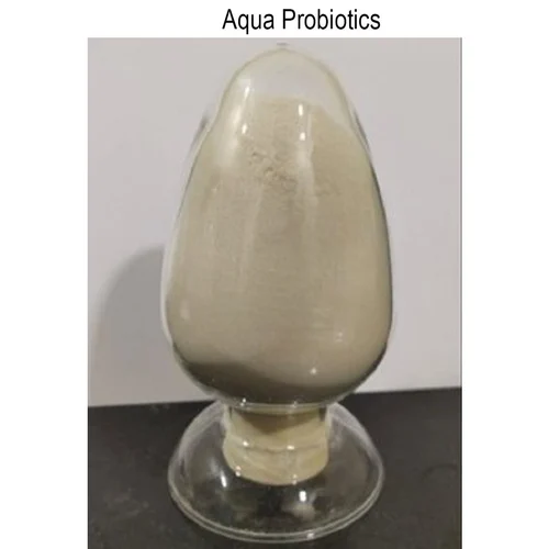 aqua probiotics