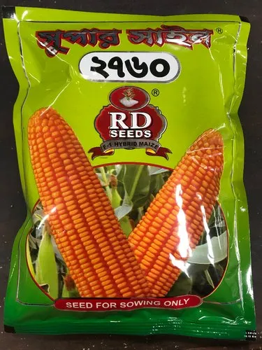 Yellow Maize