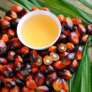 Palm Oil