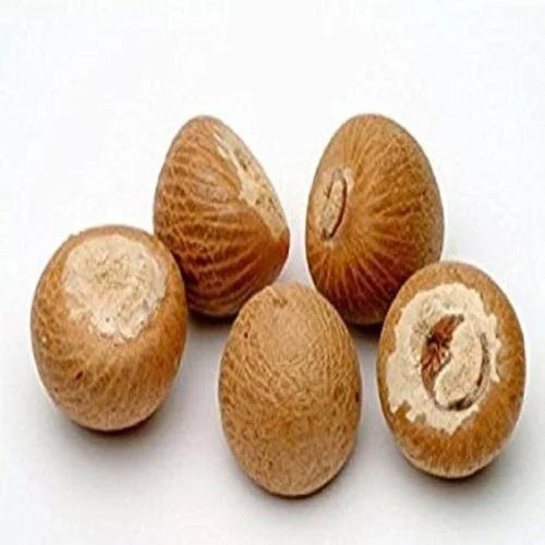 Dry Areca Nut
