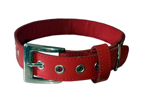 leather collars