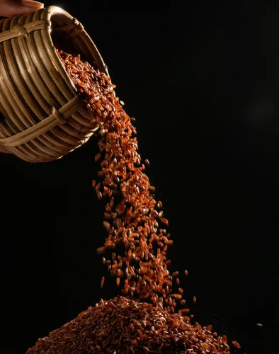 Semi Premium RED RICE (NON BASMATI INDIGINOUS VARIETY)), 1KG,2KG,5KG Shipping Extra, Loose