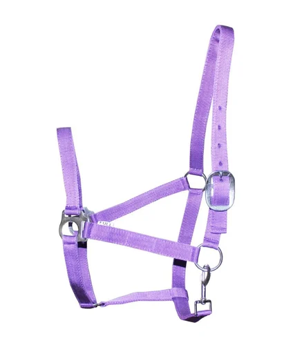 horse halters
