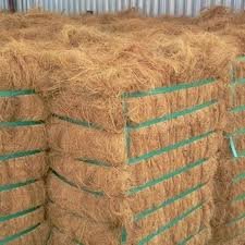 Coconut Coir Bale