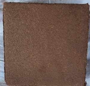 Cocopeat Block