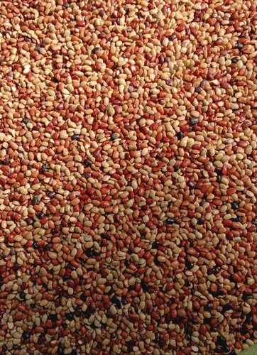 Horse Gram Seeds