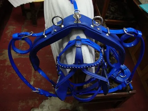 Leather Horse Harness, Depends