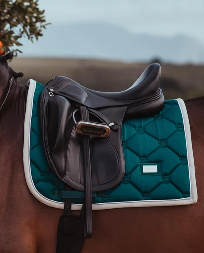 Plain Saddle Felt Wool Pad