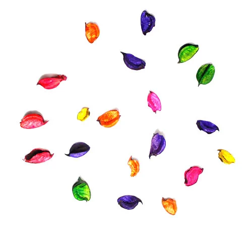 Multicolor Dry Potpourri