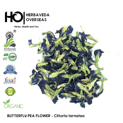 Butterfly Blue Pea Flower Or Blue Tea