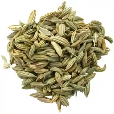 Fennel Seeds