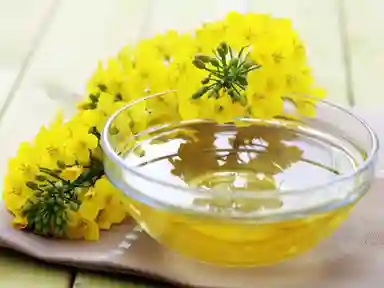 Refined Canola Oil