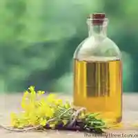 Common Refined Canola Oil