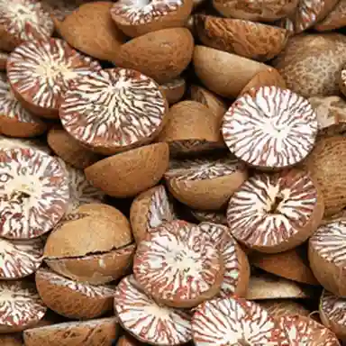 Betel Nuts