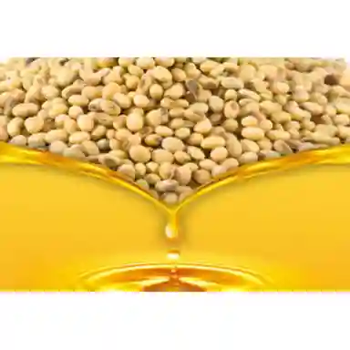 Organic Refined Soybean Oil