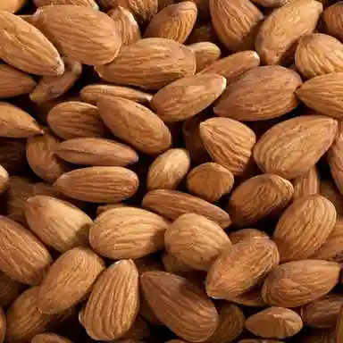 Natural Dried Almonds Nuts