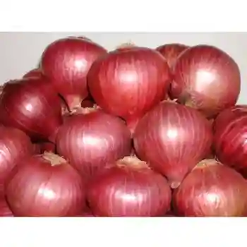 Fresh And Pure Red Onions