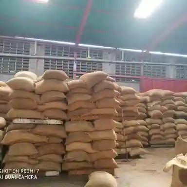 Grade 'Aa' Cocoa Beans