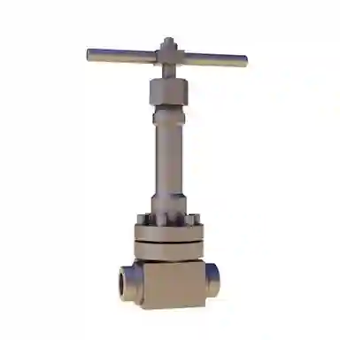 Cryogenic Globe Valve Dgj