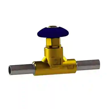 Cryogenic Globe Valve Dj 15p6 P10