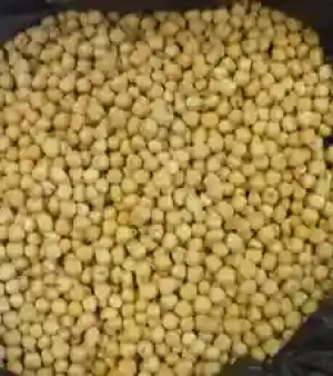 Chickpeas