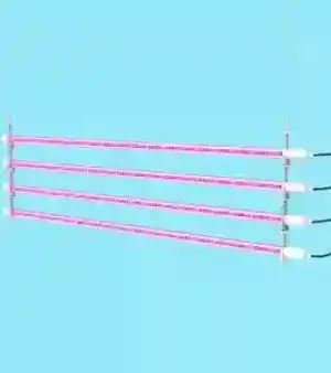 Led Growlamp Between Plants