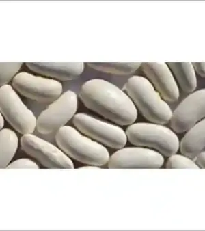 White Kidney Beans