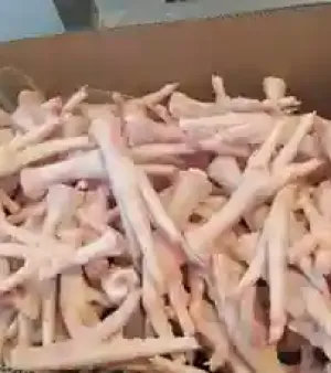 Frozen Halal Whole Chicken Paws Admixture (%): Moisture Less Than 1%