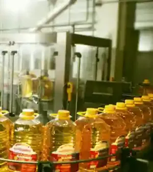 Sunflower Oil