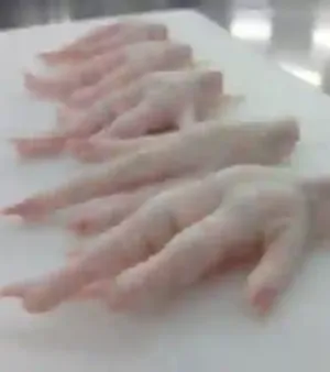 Frozen Whole Chicken Feet By Lopstar Oil Corporation