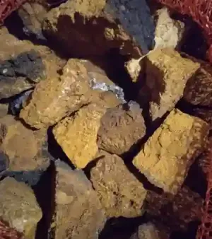 Dark Chaga - Birch Mushroom | Wild Harvested Dried Organic From Altai Mountins