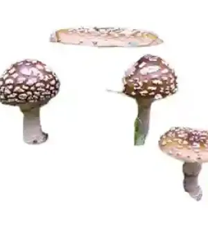 A Grade 99.9 Percent Purity Filament Shape Edible Amanita Regalis Dried Mushroom