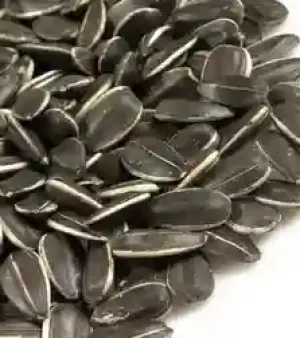Sunflower Seeds
