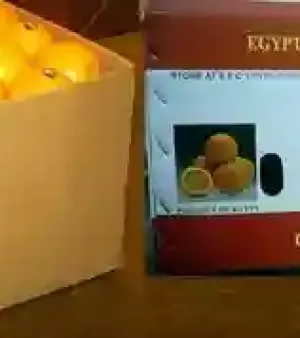 Familiano Navel Orange