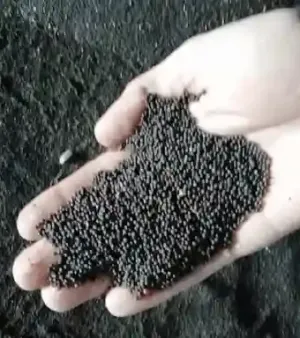 Organic Rapeseed Mustard Seeds