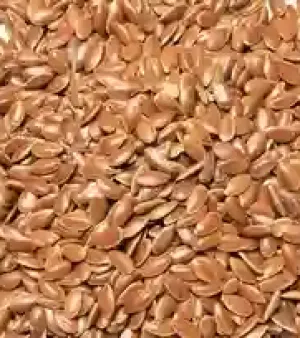 Flax Seeds