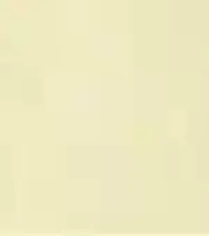 Galala Beige Marbles