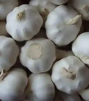 Farm Fresh White Garlic By Tenneco Hungary Kft