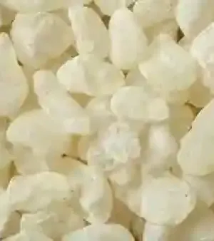 Mastic Gum