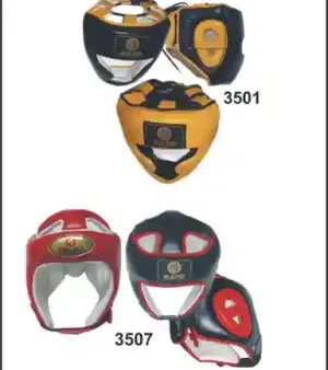 Head Guards