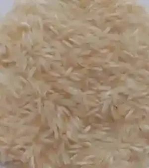 Long Grain Basmati Rice By Ronak Global Enterprise