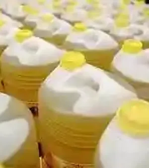 Refined Canola Oil By Magointernationalsa